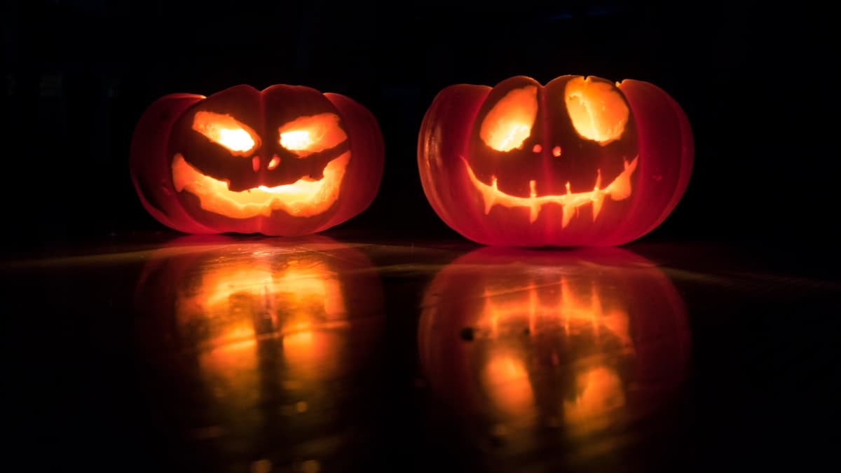 Halloween & Summerween: erken listeleyenin sezonu