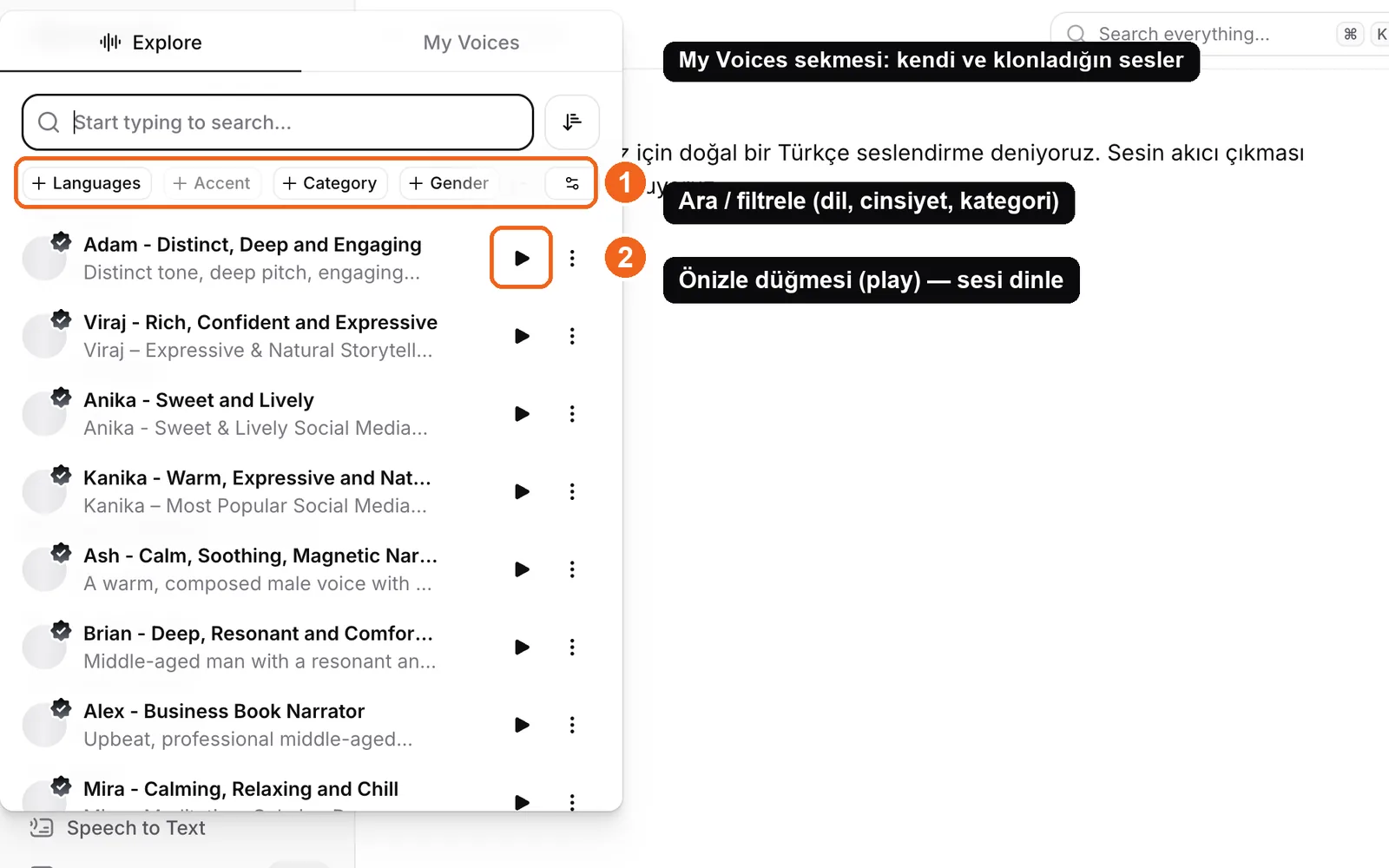ElevenLabs voice library with filters and preview controls